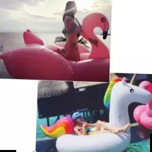 야외용품 샤인빈 사계절 물놀이 초대형튜브 유니콘/플라밍고