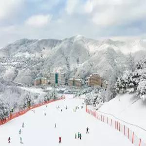 [특별패키지]비발디파크 새벽/밤샘 리프트+렌탈PKG