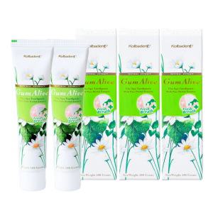 검얼라이브 프레쉬브레스 천연치약 100g 5개 - 잇몸케어, 구취제거, 치석제거, 입냄새