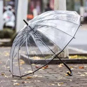[하프클럽/]튼튼한 투명 자동 우산 고급 비닐 장우산 골프우산 학생
