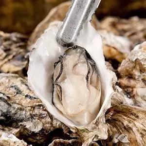 [오늘의바다] 국내산 하프셀(반각)굴 (25미내외)