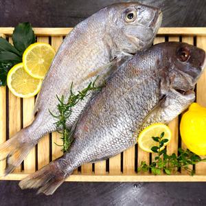국내산 자연산 반건조 참돔 제수용 말린 도미 민어 조기 부세