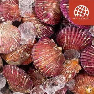 고흥 산지직송 가리비 특품 2kg