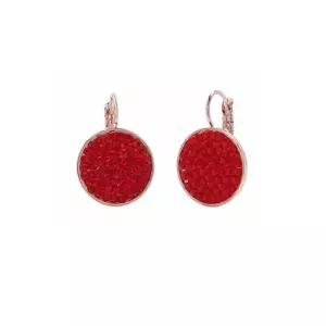 esg3090 레드 오스트리아 정품 크리스탈 로즈골드 귀걸이