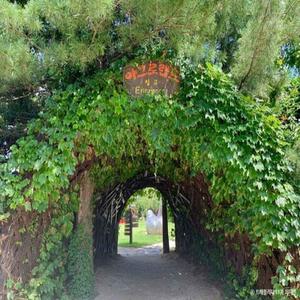 [서해금빛열차+예산관광택시]아름다운 아그로랜드+예산시장