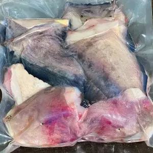 싱싱햇 국산 손질 물메기 생물 미거지 물텀벙이 곰치 1kg