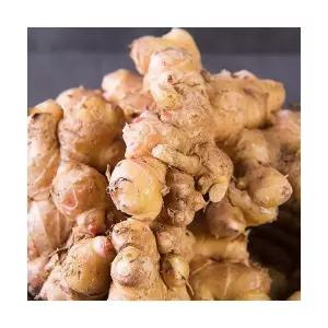 서산 황토밭 생강 국산 햇생강 산지직송 김장 양념 청용 재료