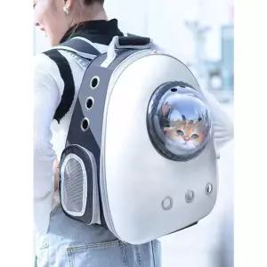 고양이 강아지 이동장 백팩 반려동물 가방 산책가방 투명