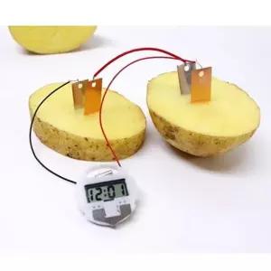 채소 전지로 디지털 시계만들기 10세트 실험기구세트