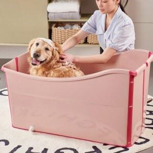 강아지접이식욕조 중형견 대형견 스파 목욕탕 셀프미용 접이식