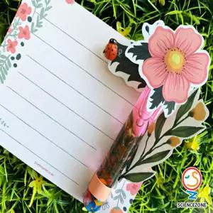 수중미니정원 5인용 초등과학실험키트용해도 와재결정 키즈 어린이 교과 만들기 와용액학습 물질의특성학습