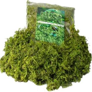 파충류 테라리움용 IBRISFULHOM 스파그넘 이끼 화분용 기질 녹색 건조 인공 가짜 장식(5.5OZ)