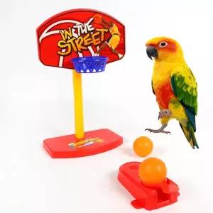 [애니몰파크]점핑 농구대 앵무새 장난감 훈련 놀이 용품