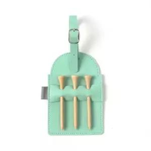 골프티 케이스 민트 골프티케이스 골프티보관