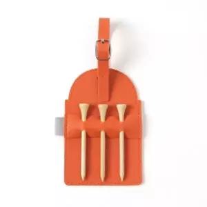 골프티 케이스 오렌지 골프티케이스 골프티보관