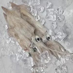 국내산 동해안 급냉 한치 1kg 횟감용 초밥용 찜 볶음 조리 요리 반찬 술안주한치 고단백해산물