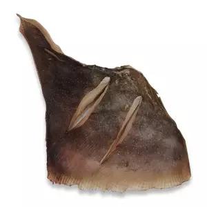 [나주수산]반건조홍어 날개 아르헨티나 건조전 800g 이상