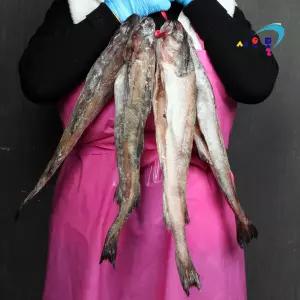 반건조 코다리(특대) 4미 2kg내외 냉동 깔끔손질