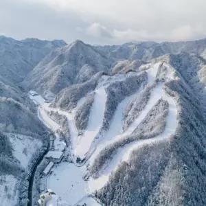 엘리시안 강촌 리조트