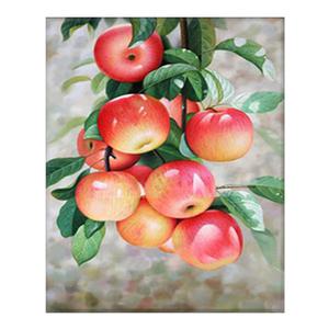 DIY 보석십자수 행운의 탐스러운 홍사과 40x50cm 캔버스형