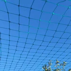 새그물망 새망 방조망 조류 비둘기 퇴치 그물망