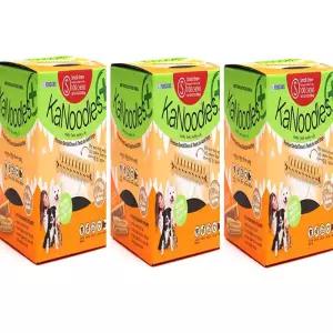 포켄스 카누들 필로팩 s 100p 소형견 덴탈 양치 강아지껌 3개