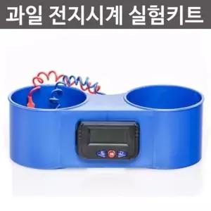 산성 과일로 전지를 만들어 시계 만들기 실험세트