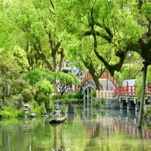 [제휴전용][벚꽃길따라][힐링산책큐슈] 후쿠오카/유후인/벳부/구마모토 4일(신상온천호텔+월드체인+호텔식+술음료무제한)