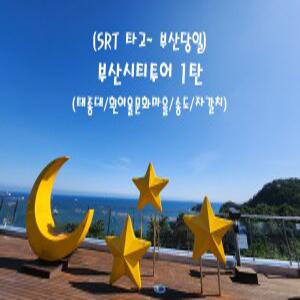 [SRT]부산시티투어 1탄(태종대/흰여울문화마을/송도/자갈치)_연합