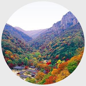 [무박] 내장산+백암산 단풍 태극종주