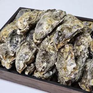 국내산 여수 석화 10kg