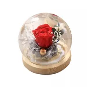 장미무드등 꽃 유리돔 LED 미니 무드등 집들이 선물용