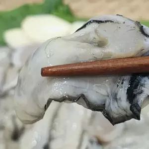 제철 통영 프리미엄 당일생산 깐굴 생굴 김장굴 (횟감 가능) 1kg 2kg 3kg 4kg 5kg