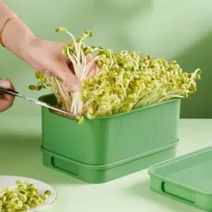 집에서 콩나물키우기 콩나물 재배기 시루 체험학습 집콕 자동재배 H580-O