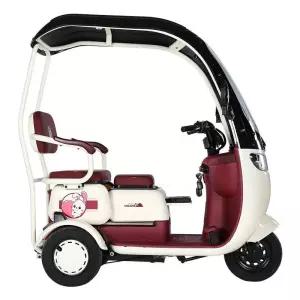 삼륜 전동차 캐노피 햇빛가리개 고급형 차양막 운반차 어르신