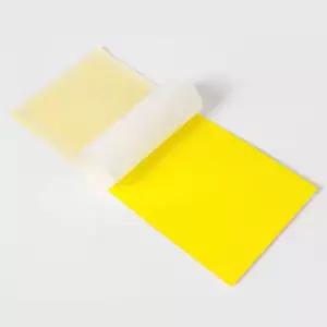 끈끈이 초 파리 날 벌래 벌레 대형/초파리/트랩/날파리/퇴치/가든/키퍼/노랑/잡이/벌래끈끈이