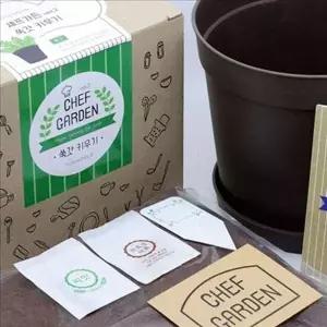 플라스틱 베란다 텃밭 세트 소형 미니 텃밭 세트 키우기 실내