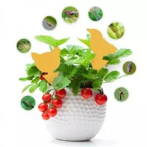 초파리 파리퇴치 날파리 화분 파리트랩 원예 파리 벌레퇴치 파리끈끈이 화초 나비 퇴치 해충퇴치 벌레