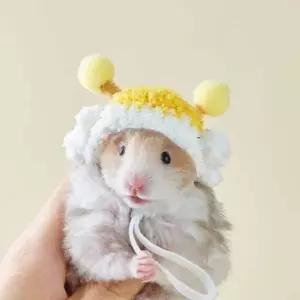 [콩심팥심]햄스터 니트귀여운 고슴도치 장식 모자