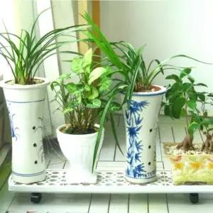 화분 정리대 받침 선반 이동 바퀴 조립 화이트