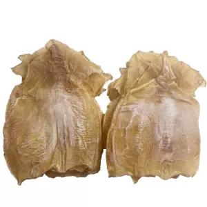 건오징어 몸통 중자 500g내외 (10마리 내외) /마른 안주 오징어 건조 간식 건어물 몸뚱이