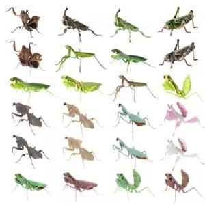 곤충 악마꽃사마귀 피규어 생물대도감