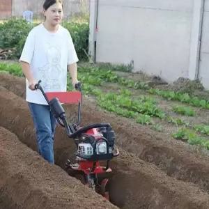 미니 농기계 트랙터 소형 쟁기 밭갈이 밭 텃밭 관리기 배토기