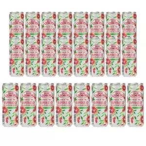 돈시몬 스파클링에이드 자몽 330ml 24캔