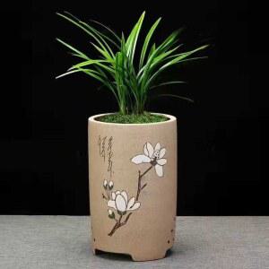 동양화 난초 화분 난초화분 공기정화 서양난 선물 난화 꾸미기