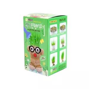 머리가 자라는 잔디 인형 8개입 가자라는 키우기 기르기 식물키우기