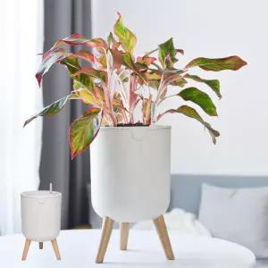 키밍 인테리어 화분 실내 탁상 거실 베란다 다육분40대 30대 깔끔한 대형 스탠드 플라스틱 다육분 홈가드닝