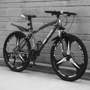 등하교 자전거 중학생 산악 MTB 팻바이크 스포츠 통학