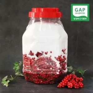 [하프클럽/신선식품]25년 수확 문경 절임 오미자 10kg