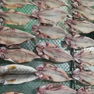 국내산 손질 반건조 임연수 5미 400g 750g 내외 30%건조 이면수 조림 구이 반찬 재료 말린생선 진공포장 중 대사이즈